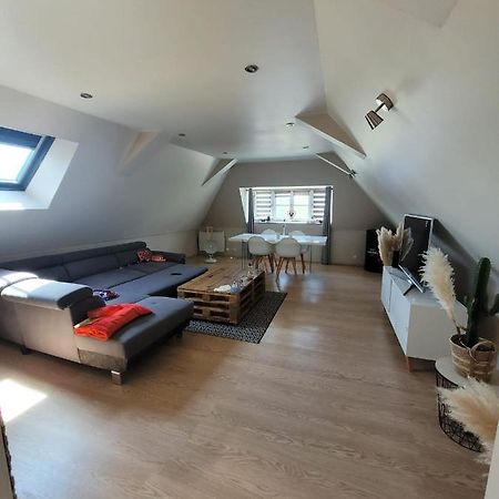 Loft Spacieux Et Lumineux Oloron-Sainte-Marie Eksteriør billede
