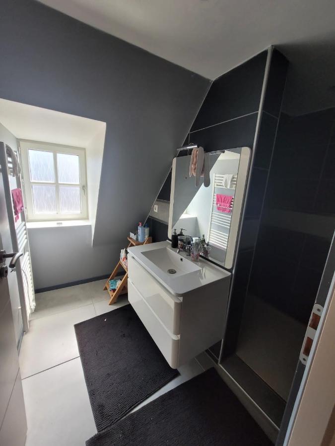 Loft Spacieux Et Lumineux Oloron-Sainte-Marie Eksteriør billede