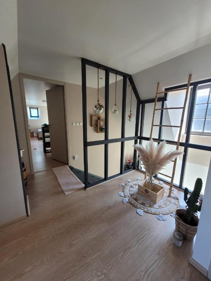 Loft Spacieux Et Lumineux Oloron-Sainte-Marie Eksteriør billede
