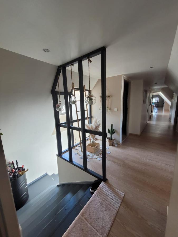 Loft Spacieux Et Lumineux Oloron-Sainte-Marie Eksteriør billede