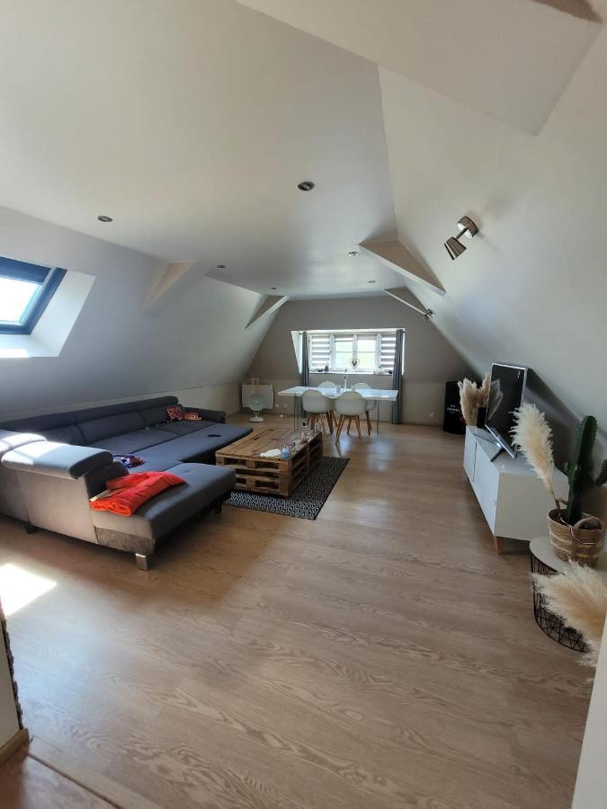 Loft Spacieux Et Lumineux Oloron-Sainte-Marie Eksteriør billede